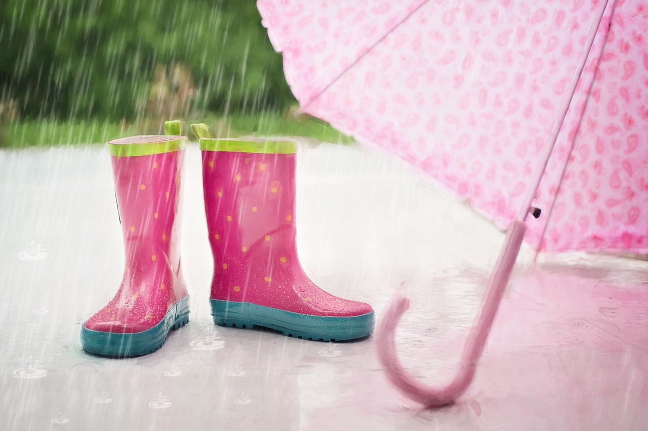 梅雨の時期に役立つカビ予防の方法は？