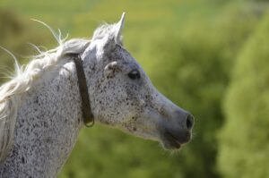 玄関のカビ対策におすすめの方法は？