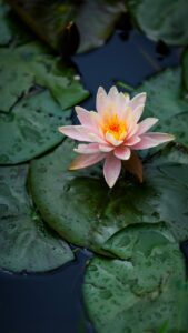 車内の湿気対策におすすめのグッズは？