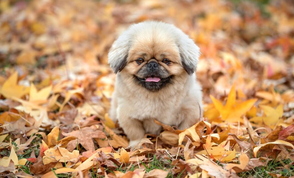 除湿機で静かに使える人気モデルはどれですか？