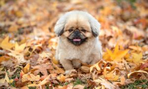 除湿機で静かに使える人気モデルはどれですか？