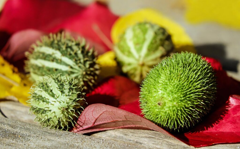 除湿機の消費電力が低いモデルはどれですか？