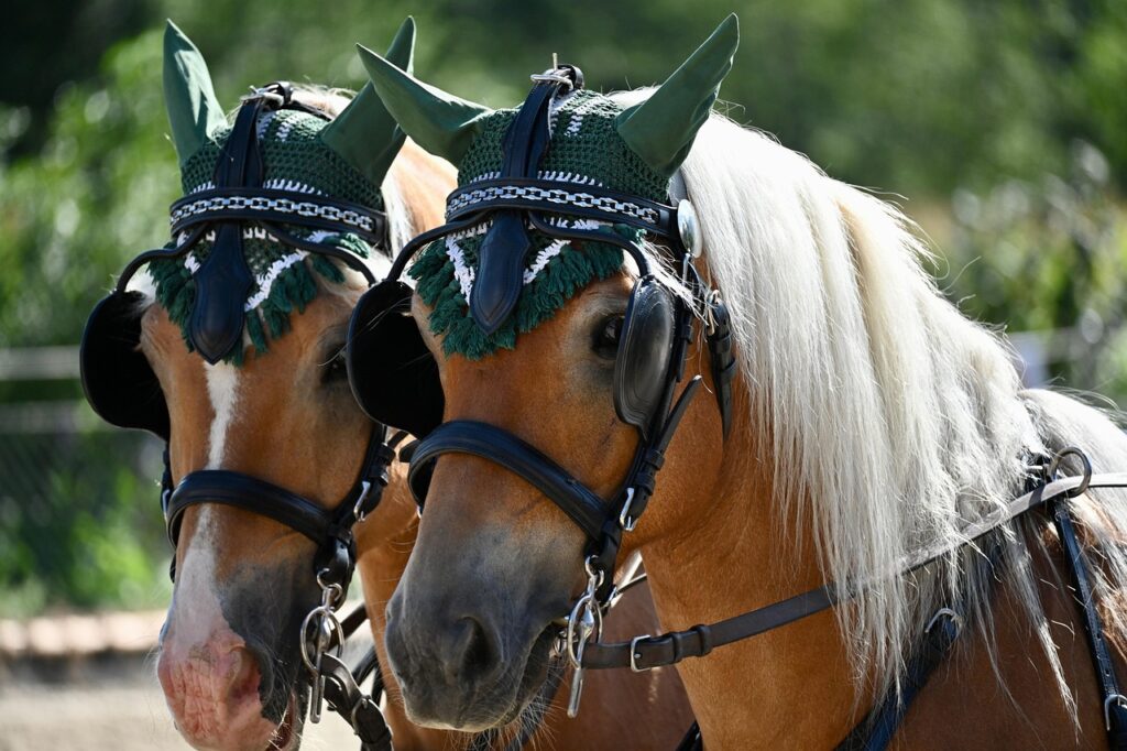 エアコンのドライ機能でカビを防ぐための効果的な方法は？