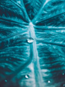 湿気対策におすすめのグッズは？