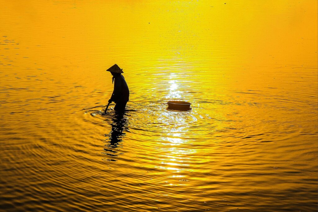 竹炭を使ったクローゼットの除湿効果とは？