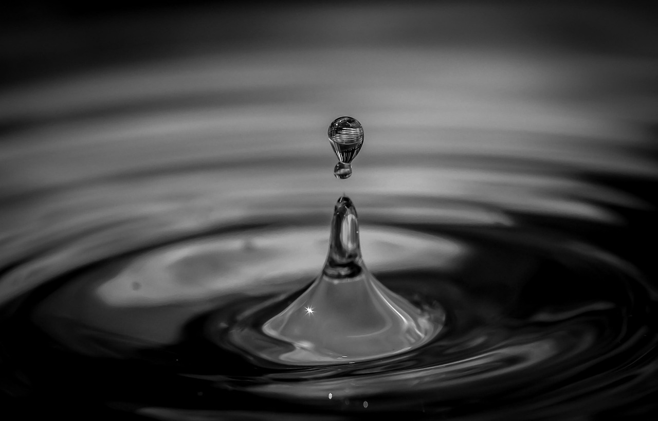冷蔵庫の裏の湿気取り方を徹底解説しますか？