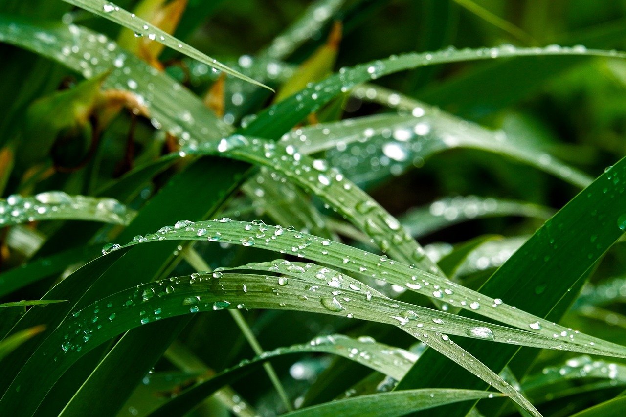 寝室の湿気がすごいときの効果的な対策は？