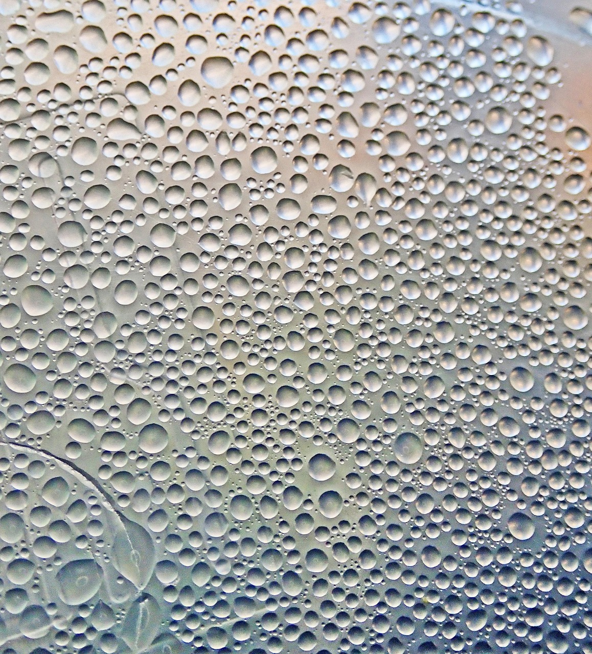 押入れの結露を防ぐための効果的な予防方法は？