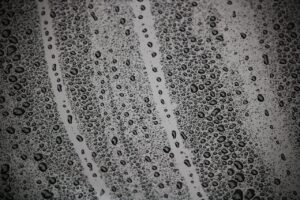 窓のガラスに生えたカビの取り方は？