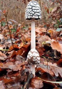 押入れの湿気対策に効果的な方法は？