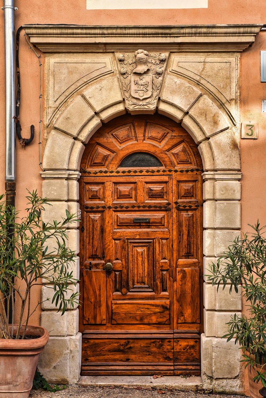 玄関の壁に発生したカビを効果的に取り除く方法は？