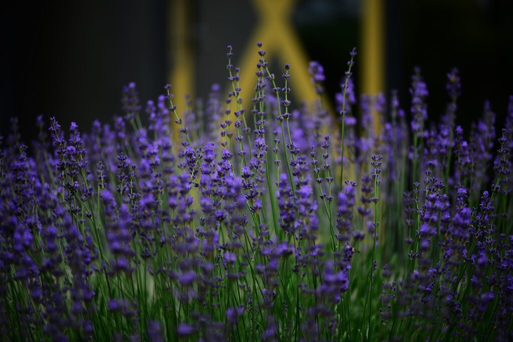 玄関の湿気対策に最適な方法は？