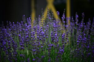 玄関の湿気対策に最適な方法は？