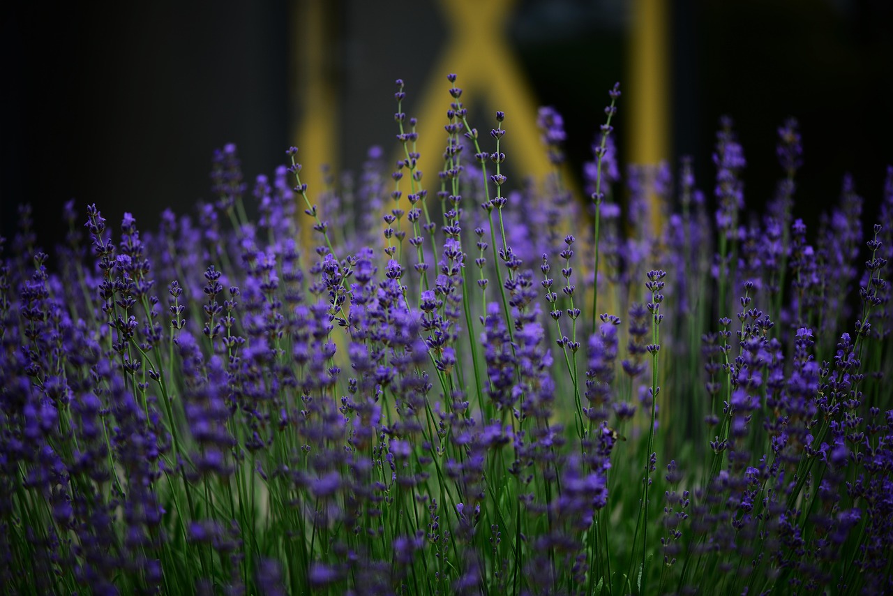 玄関の湿気対策に最適な方法は？