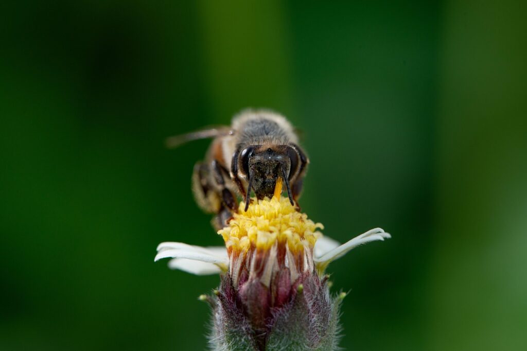 壁紙の黒カビの取り方にはどんな方法がある？