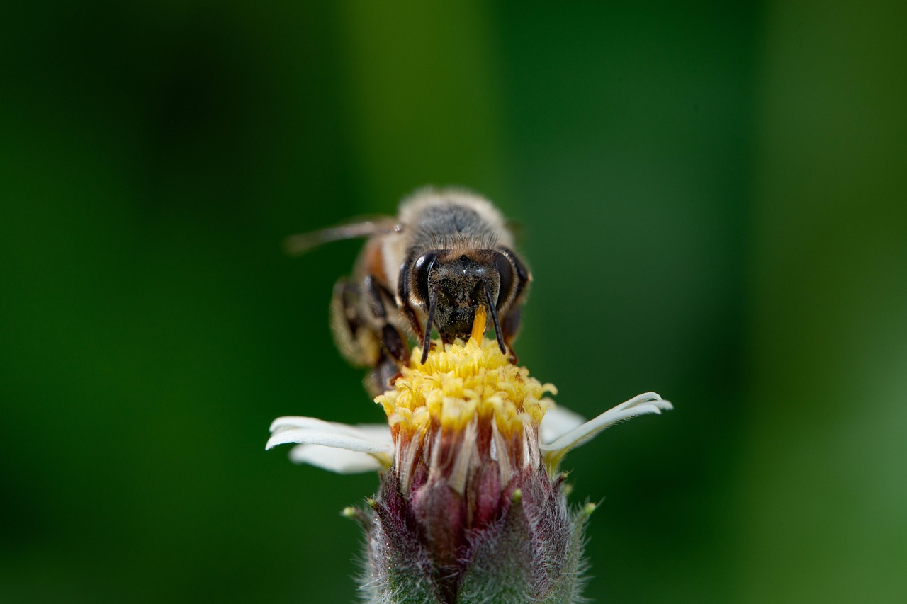 壁紙の黒カビの取り方にはどんな方法がある？