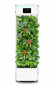 除湿機と空気清浄機を併用して結露防止はできるのか？