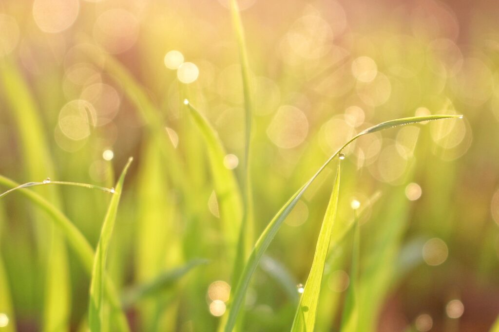 除湿機を使った家族世帯の湿気臭解消法は？