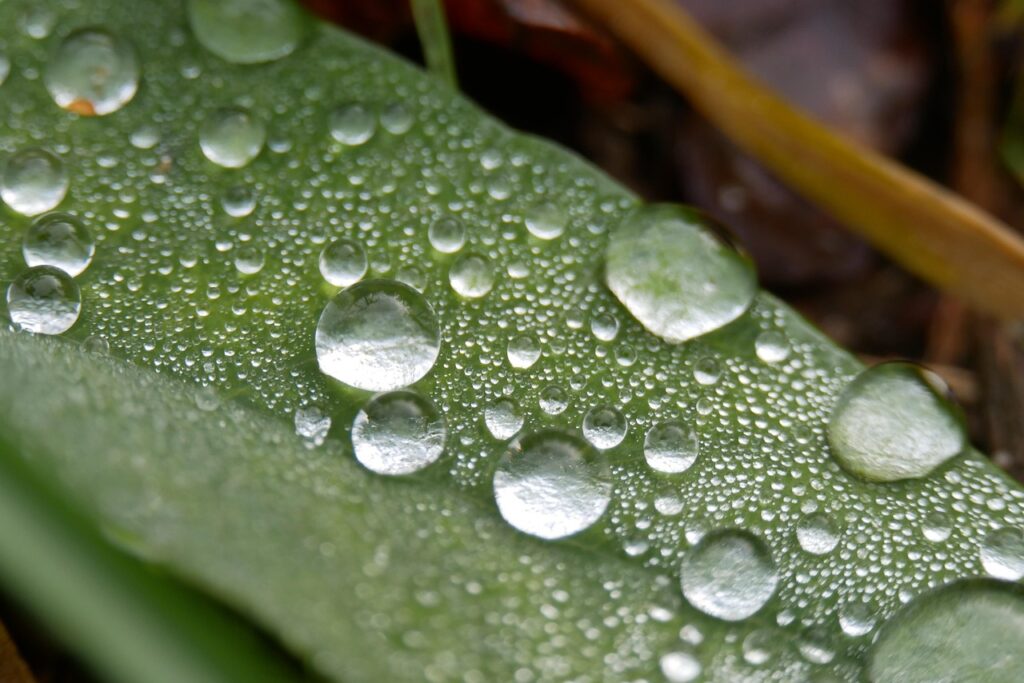 除湿機を使った玄関の湿気臭い取り方は？