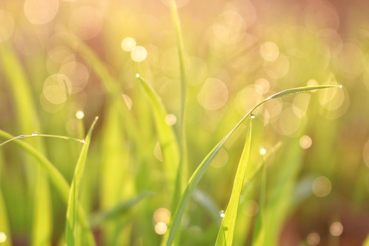 除湿機を使った家族部屋の湿気対策と臭い防止法は？