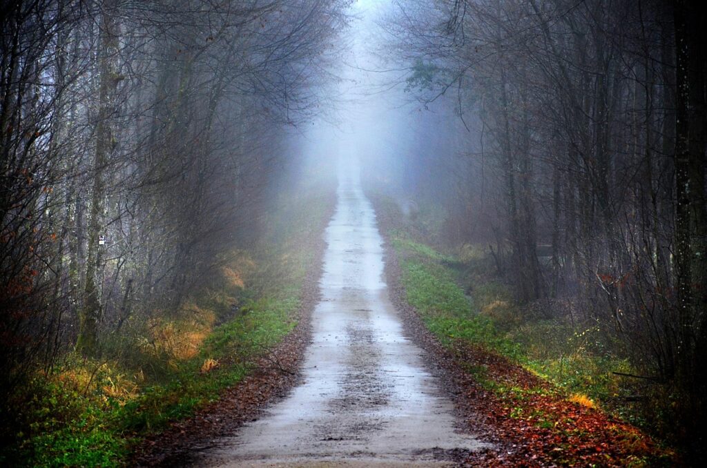 除湿機を使った湿気多い家の改善策は？