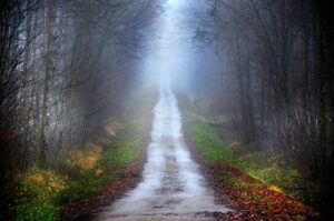 除湿機を使った湿気多い家の改善策は？