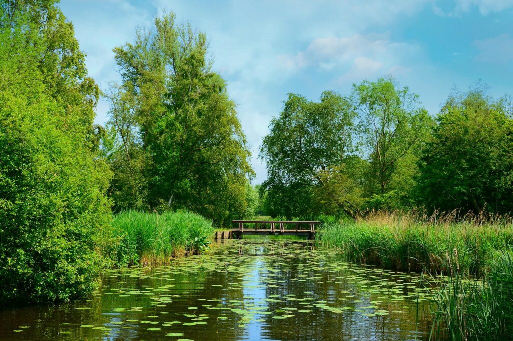 除湿機によって室温が上がる原因とその対策は？