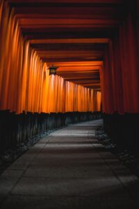 除湿機を使ってマンションの湿気を解消する方法は？