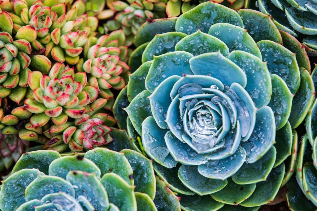 押入れの湿気対策に効果的なすのこの使い方は？