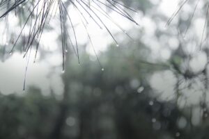 梅雨の時期におすすめのカビ防止アイテムは？