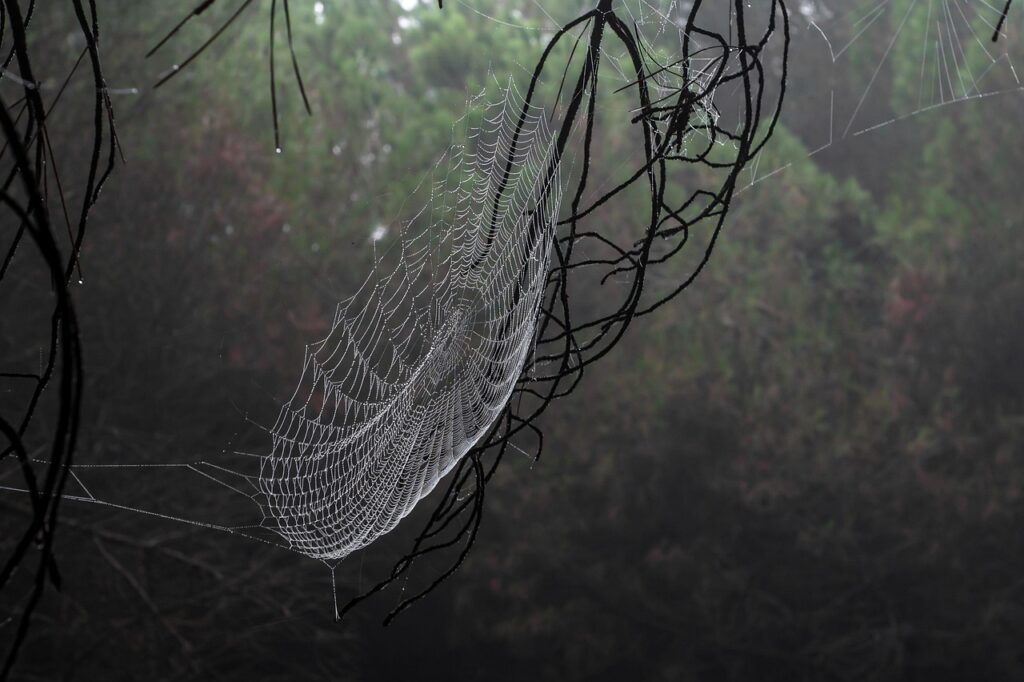 タンスのカビ対策に効果的な湿気が多い部屋の改善方法は？