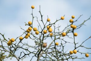 布団乾燥機と衣類乾燥の電気代を比較するとどちらが経済的？