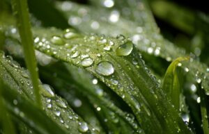 冷蔵庫に湿気取りをしてもカビが生える理由は何ですか？