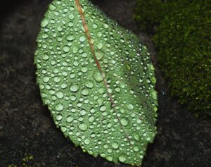 冷蔵庫の湿気取りと臭い対策にはどんな方法がある？