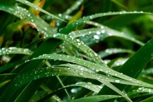 冷蔵庫の湿気取り効果はどのくらいの期間持続するのか？