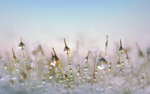 冷蔵庫の湿気取り効果を他の方法と比較するとどうなる？