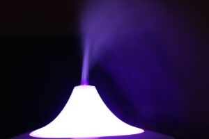 加湿器を使ったリビングの壁のカビ防止方法は？