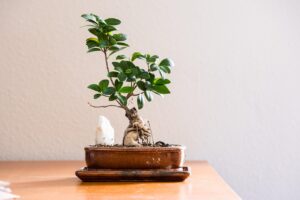 加湿器を使ったリビングの結露防止方法は？